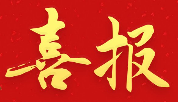 兴马公司在第二届全国招标采购技能大赛中创佳绩